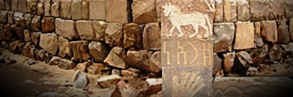 ماجد العدواني banner