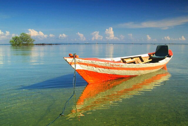 singkep_info's profile banner image