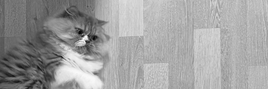 hessaw10's profile banner image