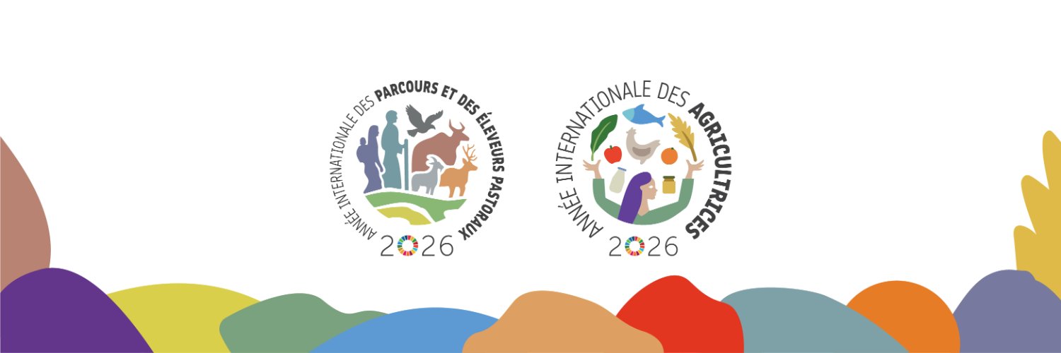 FAO au Sénégal banner