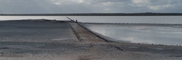 chillpep Profile Banner