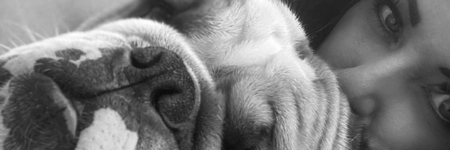 klinehan82's profile banner image
