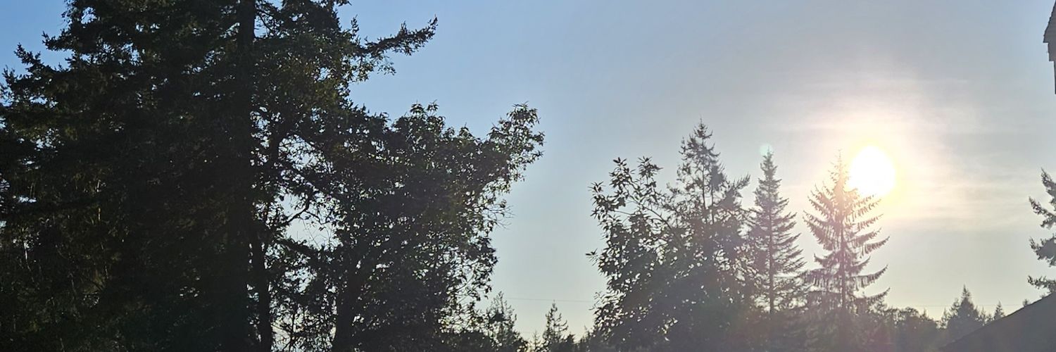 LifeNow101's profile banner image