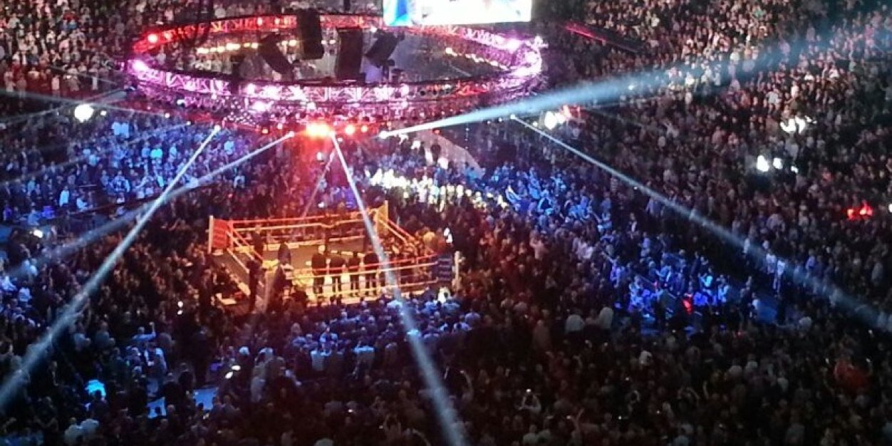 boxing roundup banner