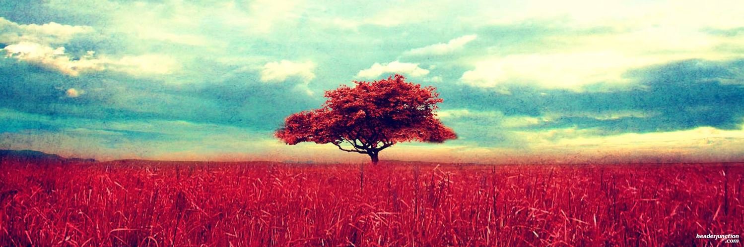 PedrofeduS's profile banner image