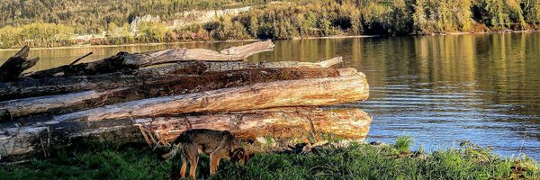 TheBarbEric16 Profile Banner