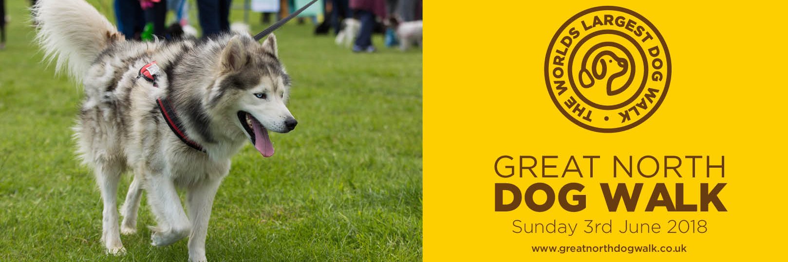 GNDogWalk's profile banner image