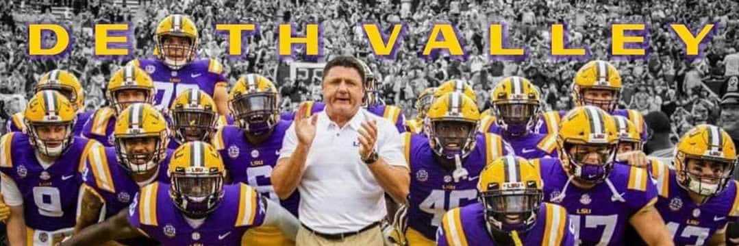 lsugrlnp's profile banner image