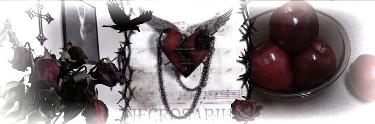 corttwis's profile banner image