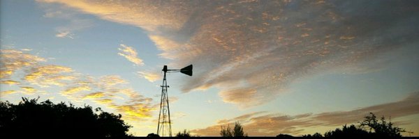 _mycrazy4 Profile Banner