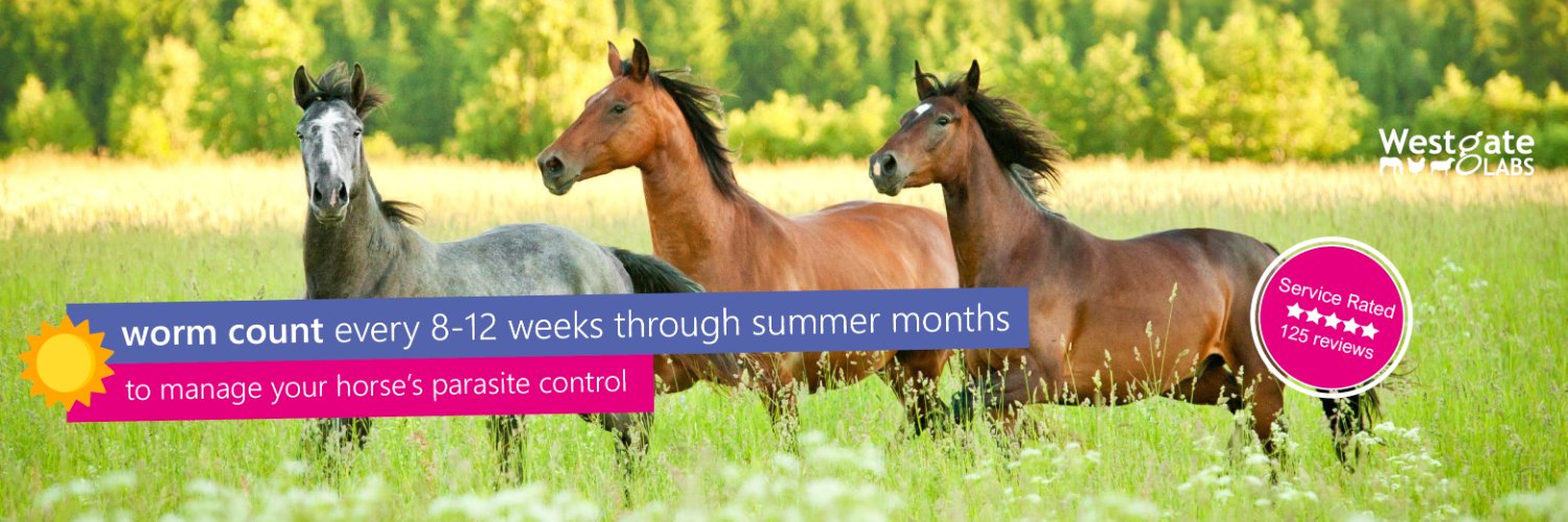 Westgate Labs banner