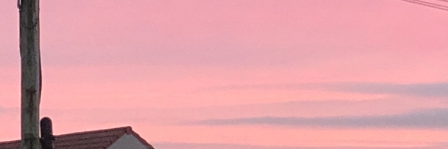 Elizabeth Sweeney banner