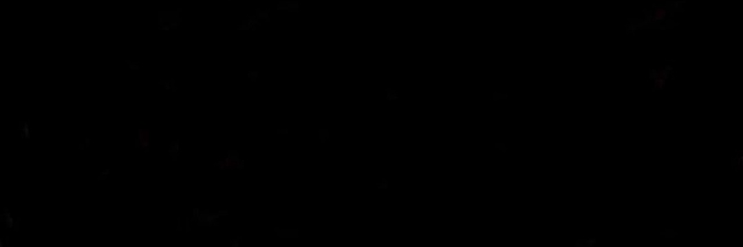 sospesaefragile's profile banner image