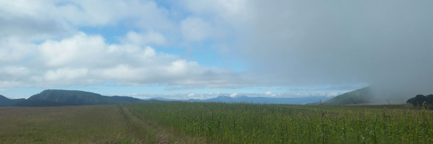 RodrigoViloriaV's profile banner image