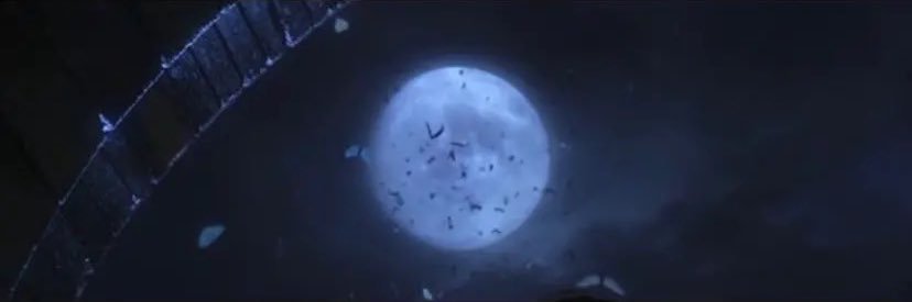 trevoorw's profile banner image