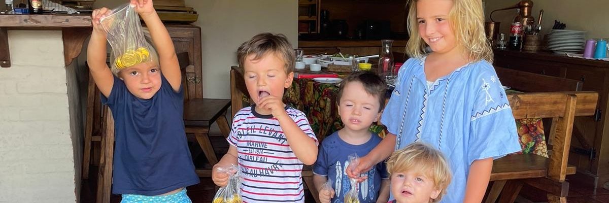 Washington Corallo banner