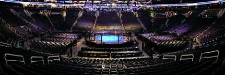 MMAFANS7's profile banner image