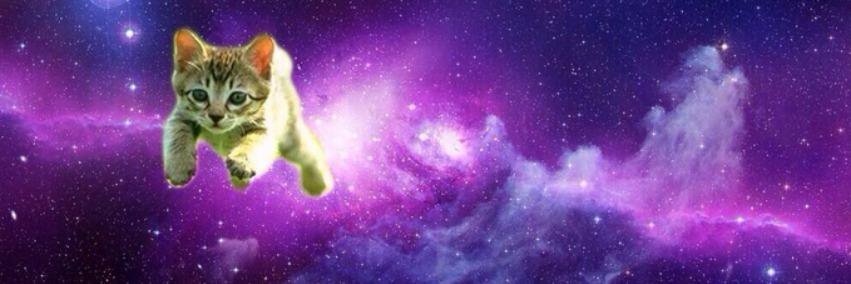 _ddiego's profile banner image