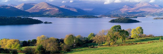 Lilmissfergus banner