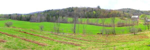 Fermeetforet banner
