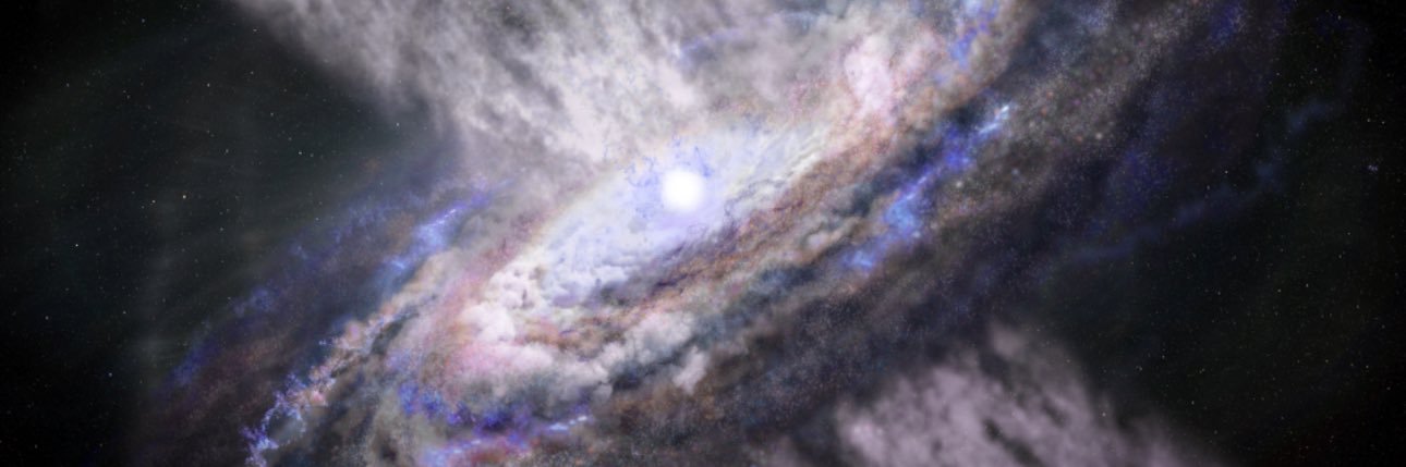 Miranda Nicole Reynolds 🌎🌟 banner