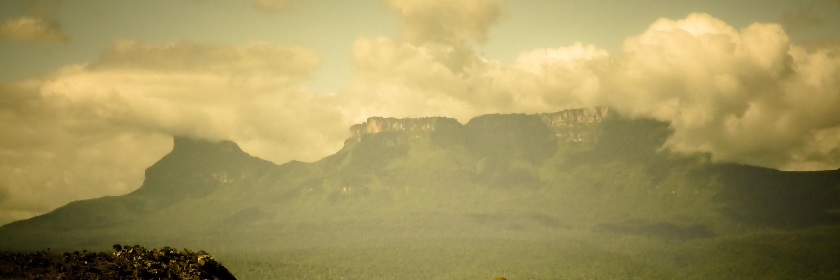 willyriv's profile banner image