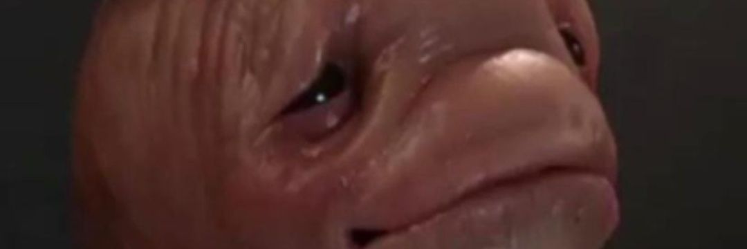 cardonuts22's profile banner image