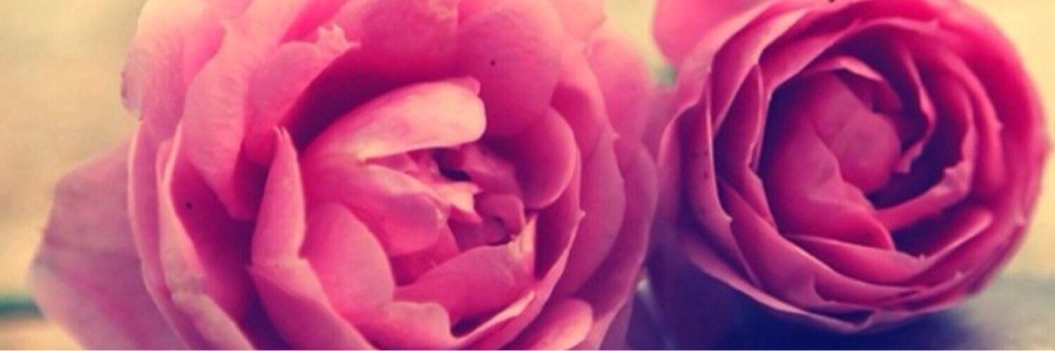 samya1990's profile banner image