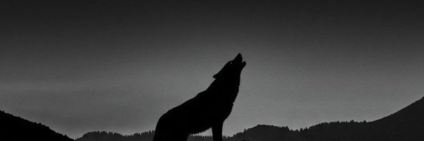 rahmsalama Profile Banner