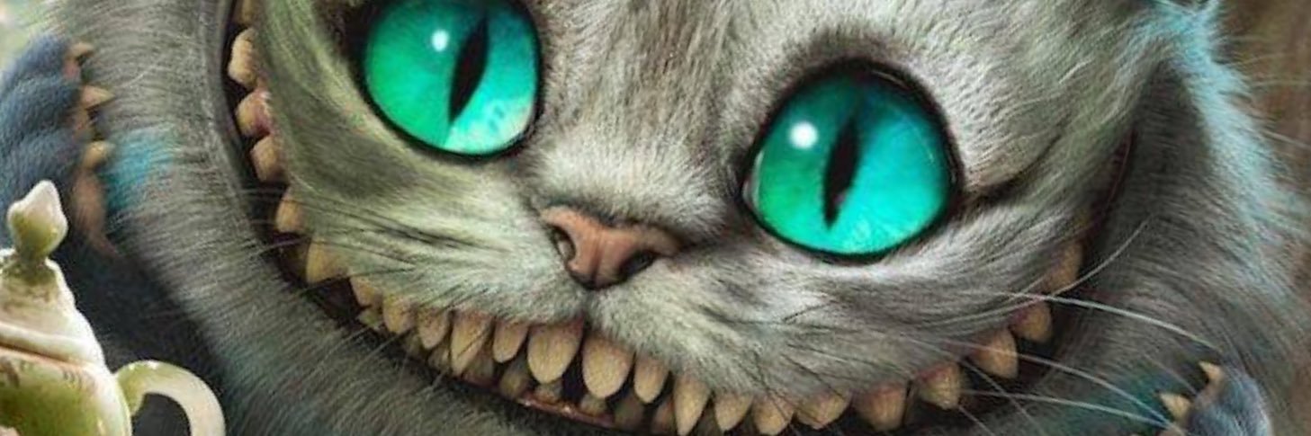 VenusEnvi's profile banner image