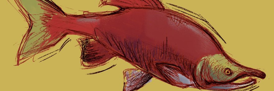capn's banner
