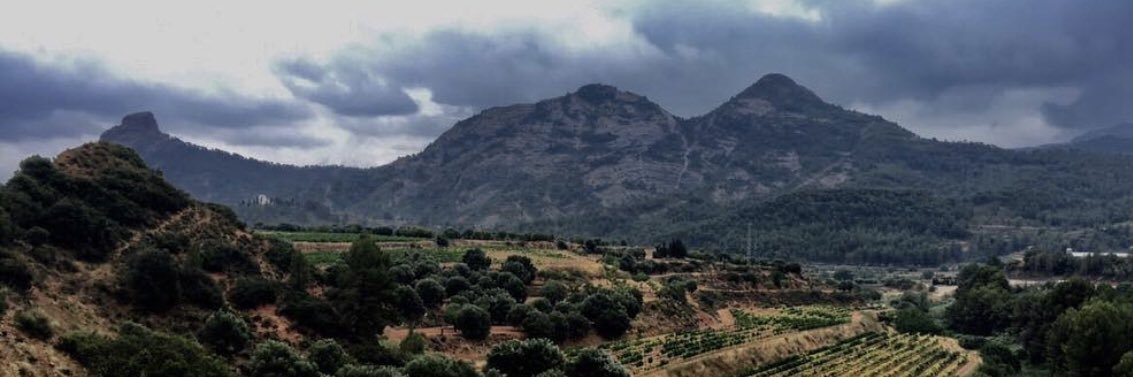 blaanch11's profile banner image