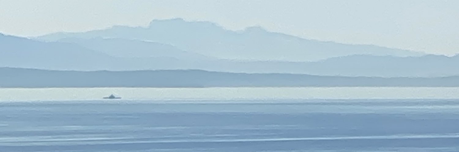 Daniel J. Weeks banner