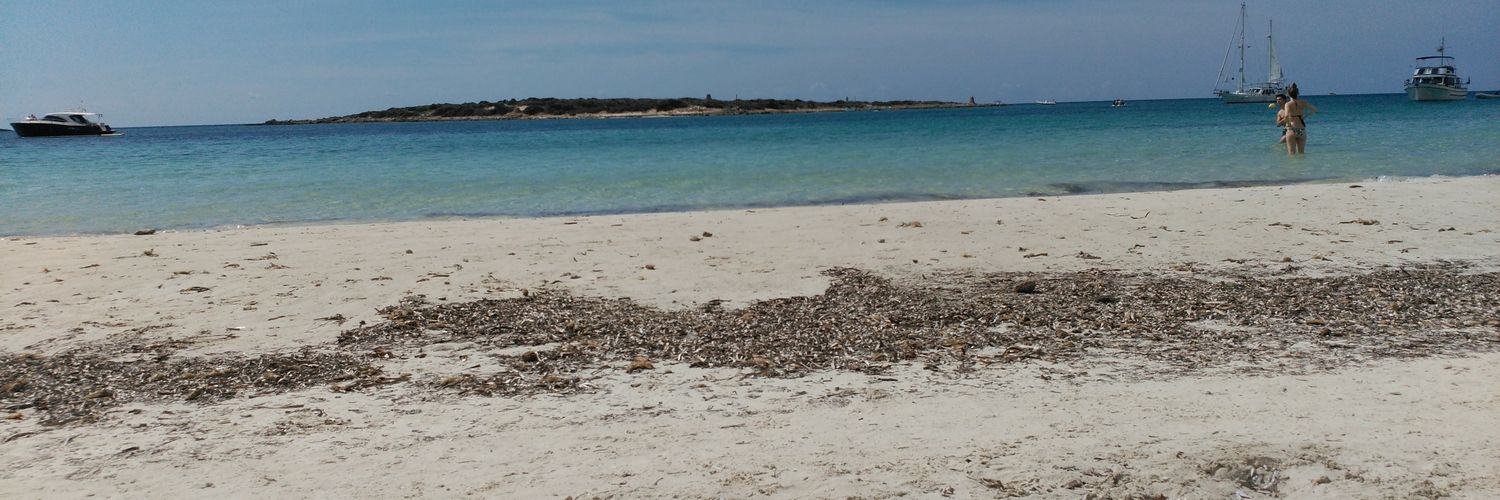 MarionaMME's profile banner image