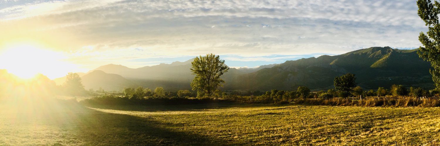 _stherly's profile banner image