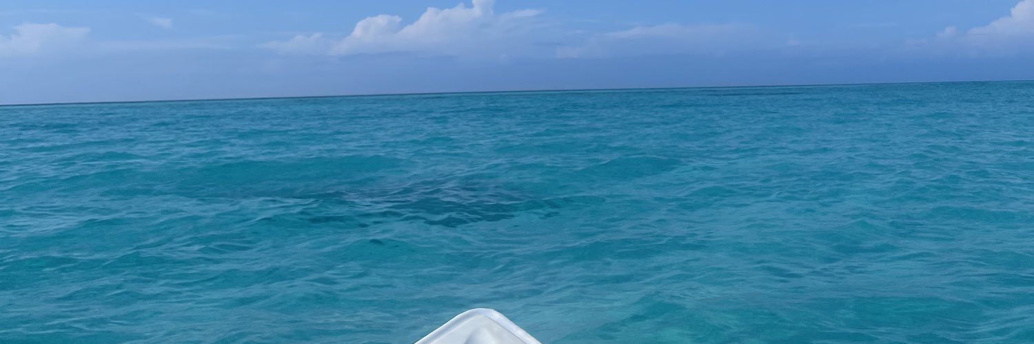 bixfl's profile banner image