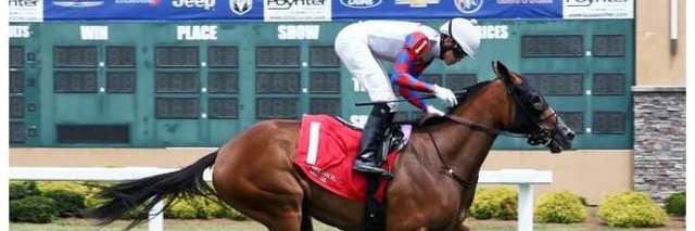 ThoroughCrowd banner