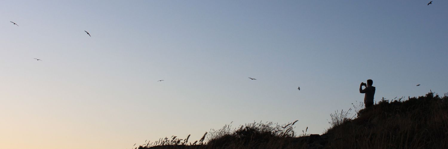 Patichula8's profile banner image