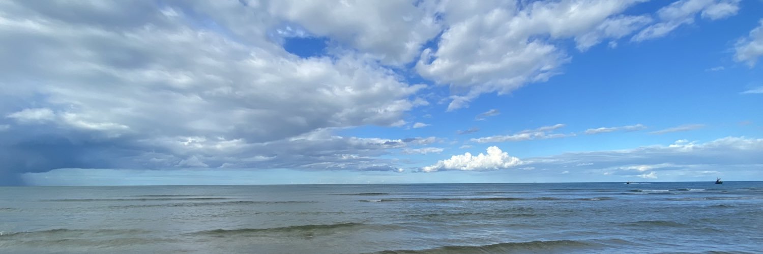 P L O Y T A K O 🐙 banner