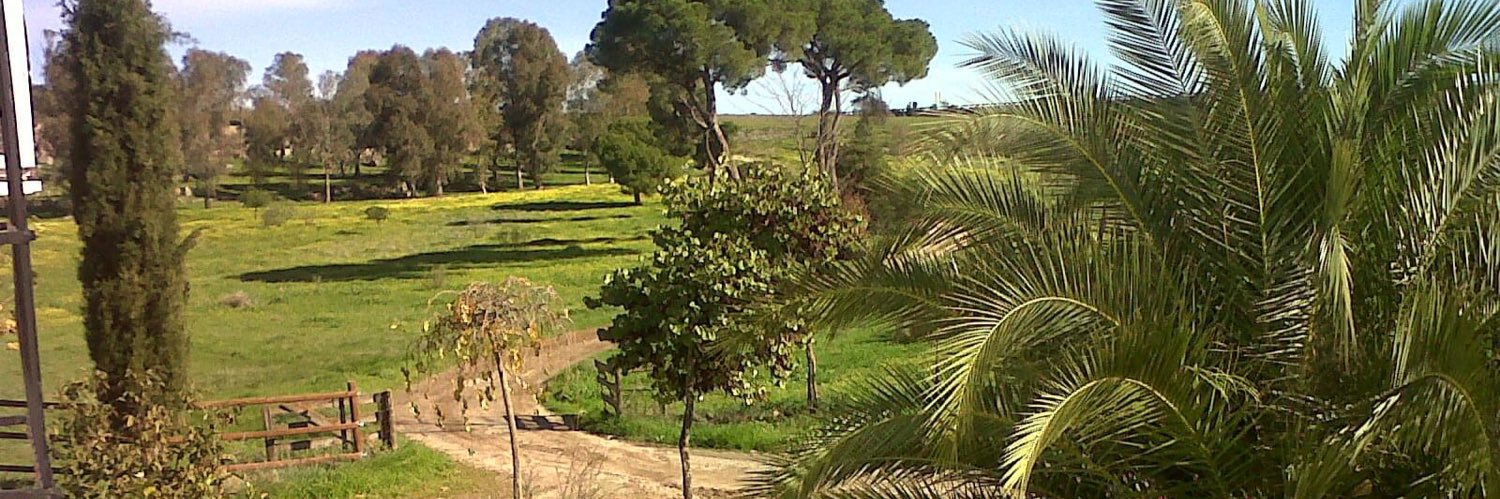 Solepuente's profile banner image