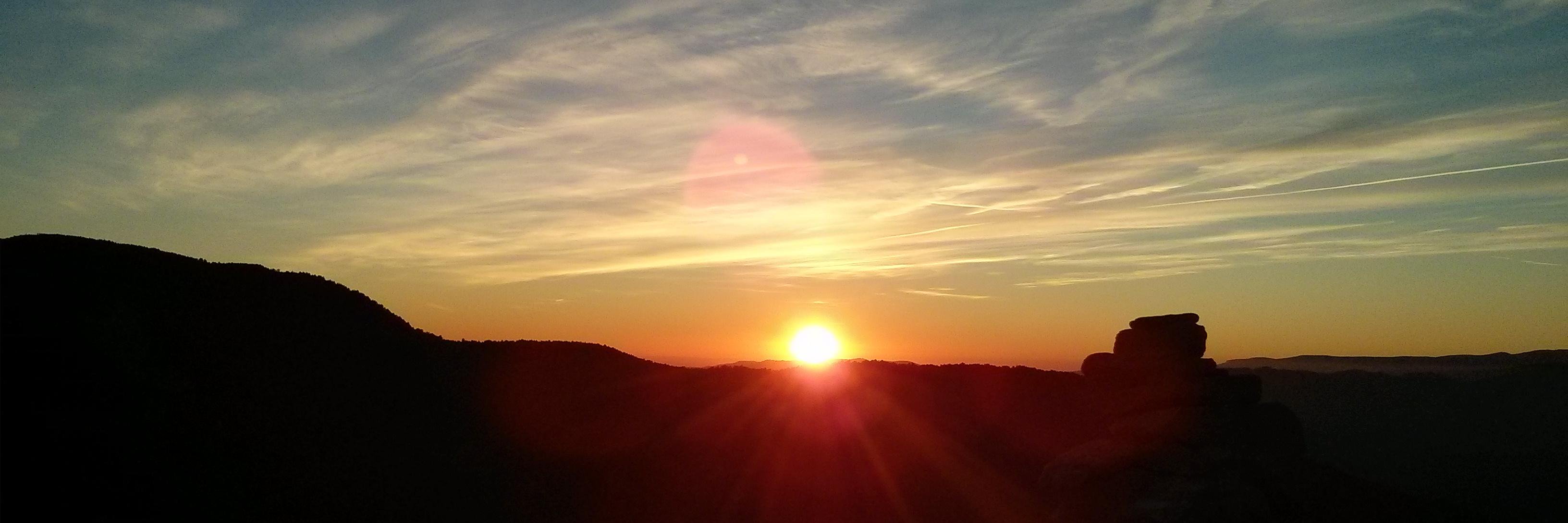 Patricia T P(she/her) banner