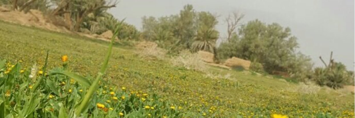 abu.zeyad🌹 banner