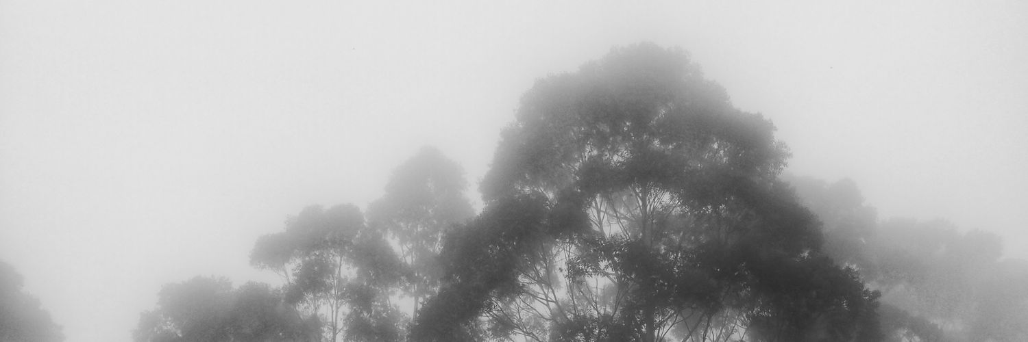 Bhargav Mishra banner