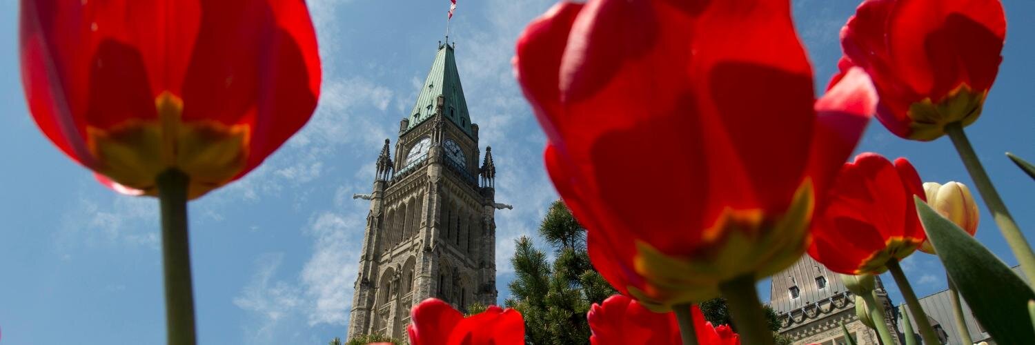 The Canadian Press Politics banner