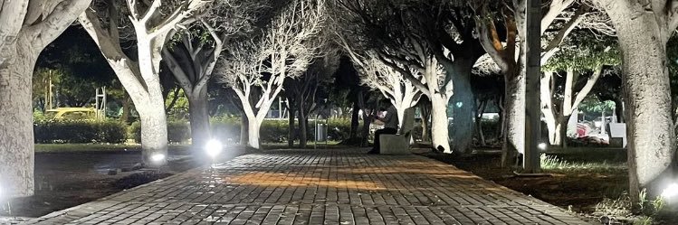 saad__50f's profile banner image