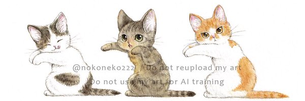 nokoneko222 Profile Banner