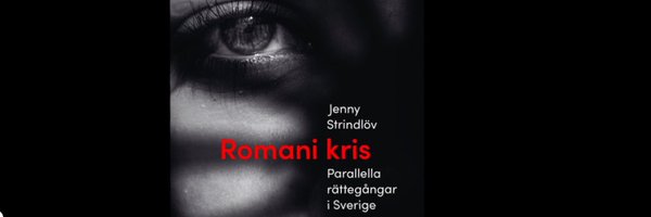 JennyStrindlov Profile Banner