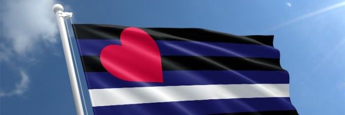 Peter Leather banner