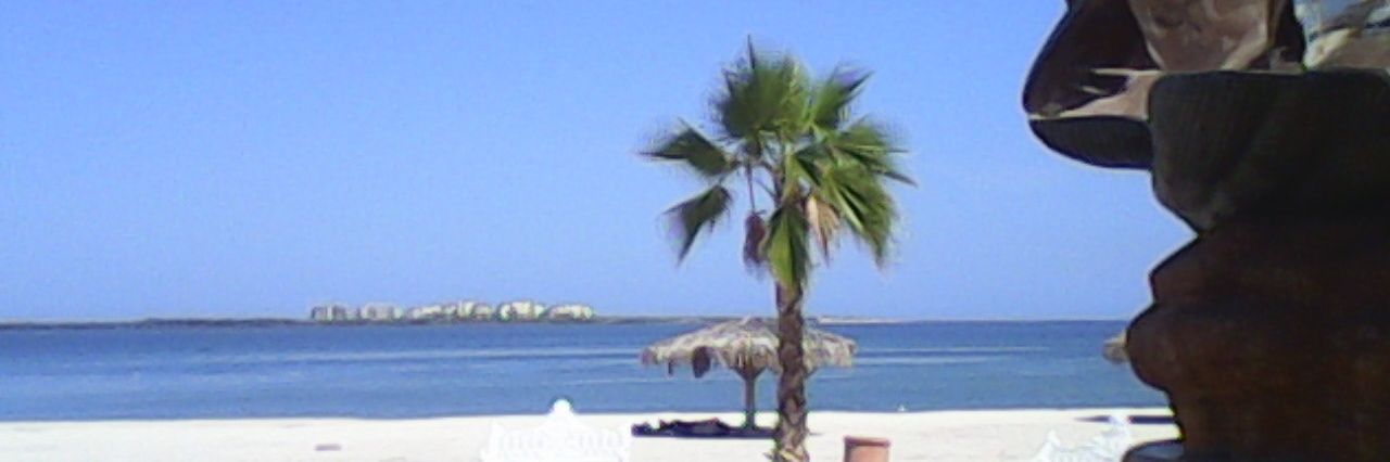 LouBalboa's profile banner image