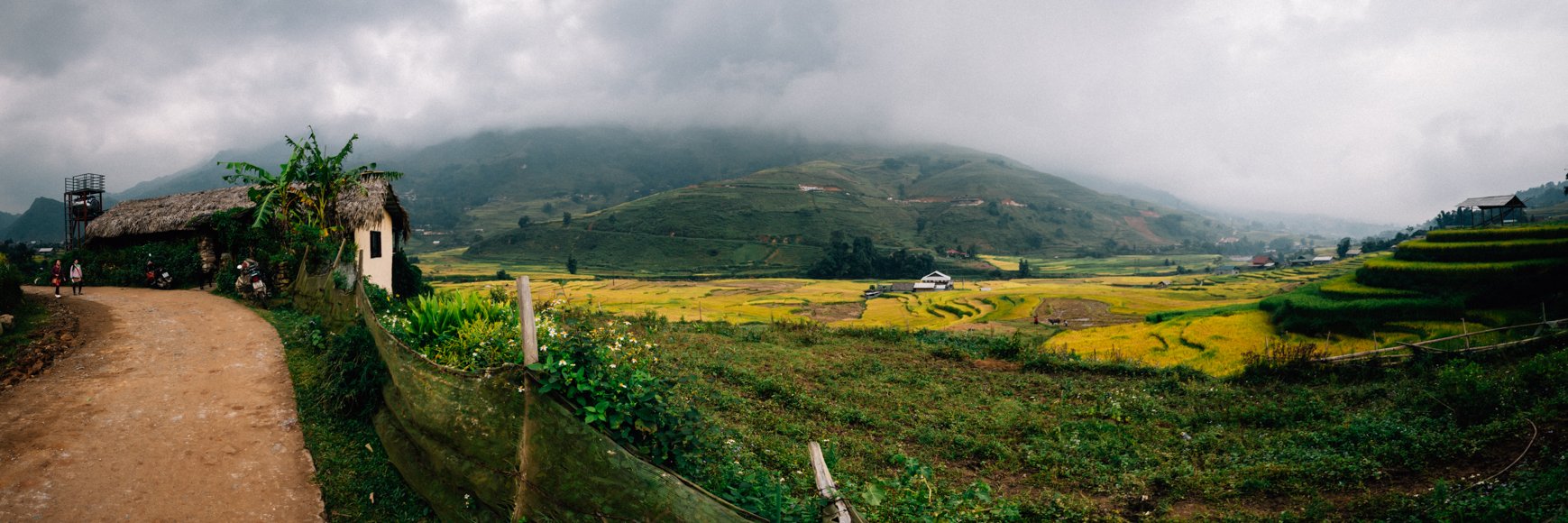 Douglas Kerrious banner